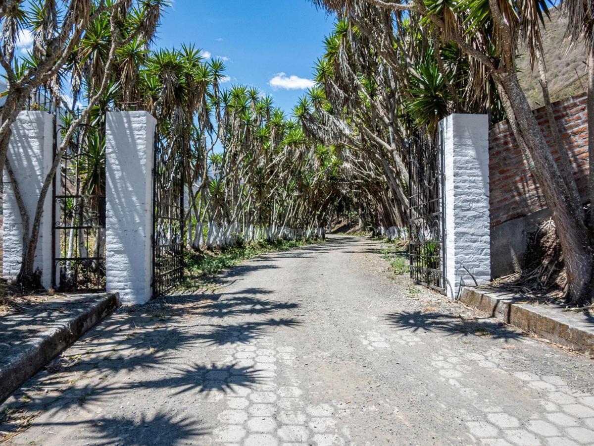 Hosteria La Eterna Primavera Huigra Εξωτερικό φωτογραφία